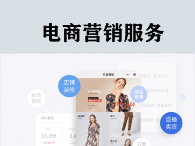 电商综合营销服务